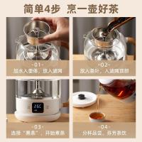 小熊（Bear） ZCQ-A08T1 养生壶 0.8L （单位：套）白色 新旧包装随机发货