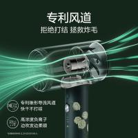 素士（SOOCAS） H5 白玫瑰电吹风 1800W（单位：个）绿色