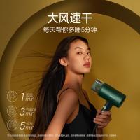 素士（SOOCAS） H5 白玫瑰电吹风 1800W（单位：个）绿色
