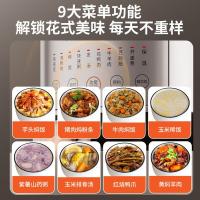 九阳（Joyoung） 电饭煲 太空系列 50NS1 5L 1台/箱 (单位:台) 香槟金