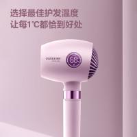 博锐 电吹风 PH1638 266mm*113mm*86mm (单位:台) 胭脂色