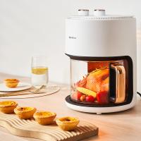 金正（NINTAUS） 多功能空气炸锅 鲜美味可视型 JZL-KZ301 5L；285*249*336mm (单位:台)