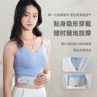 攀高（PANGAO） 按摩腰带 智能 Waist M5 2000mAh 30个/箱 (单位:个)