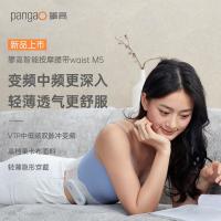 攀高（PANGAO） 按摩腰带 智能 Waist M5 2000mAh 30个/箱 (单位:个)