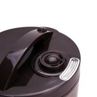 北美电器（ACA） 电饭煲 14大实用功能 ALY-30FB08A 额定功率500W 容量3.0L 6台/箱 (单位:台) 金色