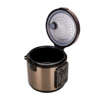 北美电器（ACA） 电饭煲 14大实用功能 ALY-30FB08A 额定功率500W 容量3.0L 6台/箱 (单位:台) 金色