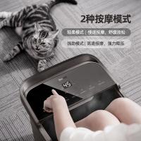 蓓慈 速热杀菌足浴器 G5 pro 15L (单位:台) 灰色