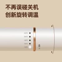 雷瓦 卷发棒 负离子护发 RB-8620 32mm (单位:个)