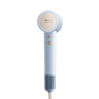 小熊（Bear） DCF-D16U3-P01 电吹风 1600W(单位：个) 蓝色