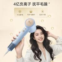 小熊（Bear） DCF-D16U3-P01 电吹风 1600W(单位：个) 蓝色