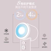 小熊（Bear） DCF-D16U3-P01 电吹风 1600W(单位：个) 蓝色