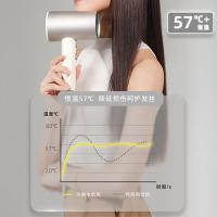 小熊（Bear） DCF-C18E5 负离子吹风机 1800W 白色（单位：个）