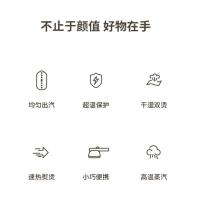 蓝宝（BLAUPUNKT） BP-SR01B 蒸汽小熨斗 1000W （单位：台） 茉莉白