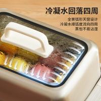 蓝宝（BLAUPUNKT） BP-ZG03B 电蒸锅 双层 10L 不含炖盅 （单位：套） 云朵白
