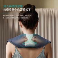 飞利浦（PHILIPS） PPM3212 按摩器 325*110*170mm （单位:个）