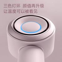 飞科 FH6371 高速电吹风 1600W (单位：个) 钻石粉