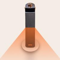 思嘉思达 SKD-N0197 速热取暖器 额定功率2000W（单位：台）