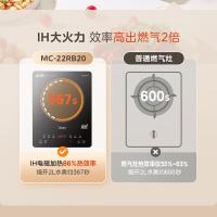 美的（Midea） 电磁炉 全套带锅配炒锅+汤锅套装 MC-22RB20 2200W (单位:台)