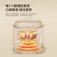 现代（HYUNDAI） 煮蛋器 NE-250A 197*161*176mm 6台/箱 (单位:台)