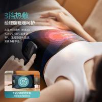 飞利浦（PHILIPS） PPM3305B 健腹腰带 2500mAh 深色 版本随机发货 (单位:台)