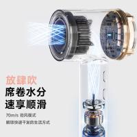 奔腾（POVOS） H100 吹风机 72*101.6*296mm （单位：个） 柔雾粉