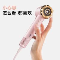 奔腾（POVOS） H100 吹风机 72*101.6*296mm （单位：个） 柔雾粉