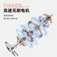 奔腾（POVOS） H100 吹风机 72*101.6*296mm （单位：个） 柔雾粉
