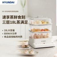 现代（HYUNDAI） XX-DZG08 多功能电蒸锅 18L  (单位:台)