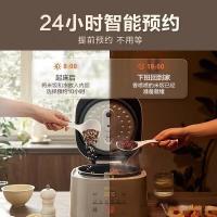 苏泊尔（SUPOR） SF40FC0055 电饭煲 4L 智能精控防溢 （单位:台）