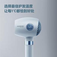 博锐 PH1637 电吹风 266mm*113mm*86mm (单位:台)