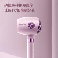 博锐 PH1638 电吹风 266mm*113mm*86mm (单位:台) 胭脂色