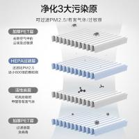 飞利浦（PHILIPS） FY2122/01 空气净化器滤芯 256*256*330mm（单位：个)灰色表面
