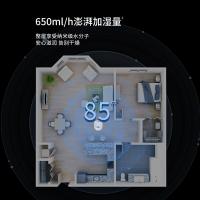 飞利浦（PHILIPS） HU5969 无雾加湿器 5L（单位：台）