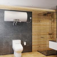 史密斯（A.O.SMITH） E100MDG 热水器 100L（单位：台）美国灰