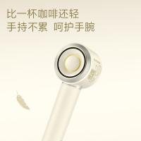 飞科 FH6372 朱迪联名款高速电吹风 1600W (单位：个)