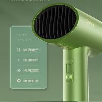 美的（Midea）MB-AJ0502吹风机 285*105*75mm (单位:台) 仙踪绿