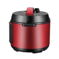 荣事达（Royalstar）YDG50-100A170 电压力锅内控编码50-100A170（LB）H 双内胆 5L （单位：台）