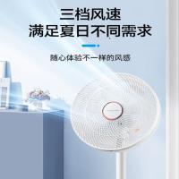 荣事达（Royalstar） FD-30L501(Q) 落地扇 60w 3档 （单位：台）