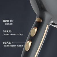康夫（CONFU） KF-8955 大功率电吹风机 21*29cm (单位:台) 铂金灰