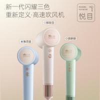 小熊（Bear） DCF-D16U3 电吹风 1600 W 随机色 (单位:台)