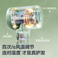 松下（Panasonic） NE6L 电吹风 1520W（单位：台）白色