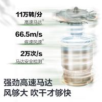 松下（Panasonic） NE6L 电吹风 1520W（单位：台）白色