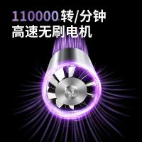 奔腾（POVOS） PH9909 电吹风 1600W （单位：台） 烟熏粉