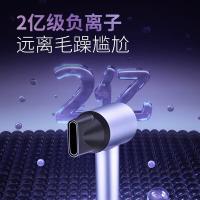 奔腾（POVOS） PH9909 电吹风 1600W （单位：台） 烟熏粉
