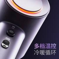 奔腾（POVOS） PH9909 电吹风 1600W （单位：台） 烟熏粉