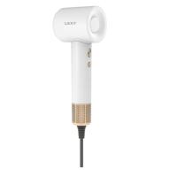 莱克（LEXY） FC5 电吹风 1900W (单位：台)