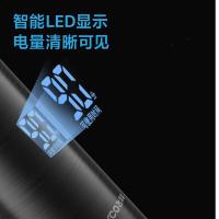飞科 FS968 剃须刀 5W 曜石黑（单位：个）