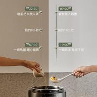 苏泊尔（SUPOR） SY-50YC8082G 电压力锅 5L 智能双胆 （单位:台）