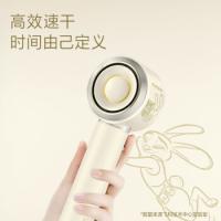 飞科 FH6372 电吹风 1600w 乳白色（单位：套）