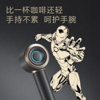 飞科 FH6372 电吹风 长295mm；宽79mm；高63mm 黑色（单位：台）